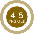 program image 2
